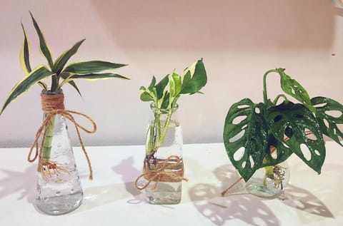 Damiya Peaceful House House in Khok Kloi