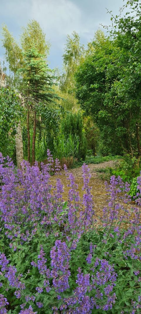 Sowi Dworek House in Pomeranian Voivodeship