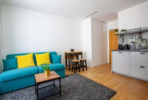 Paris 2 - Vendôme - Rue Volney - 2 rooms Apartment in Paris