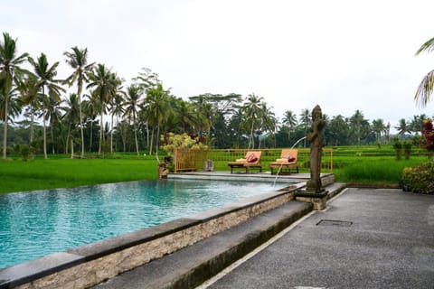 Balcony/Terrace, Garden view, Pool view, Swimming pool, sunbed