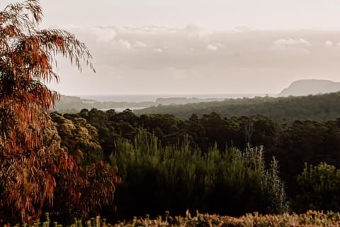 Natural landscape, Sea view