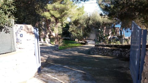 Garden, Street view
