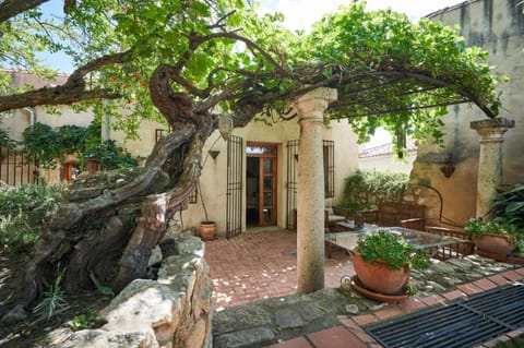 Property building, Patio, Spring, Day, Garden, Garden view
