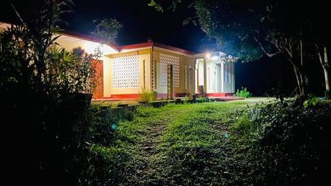 Property building, Night, Natural landscape, Garden, Garden view