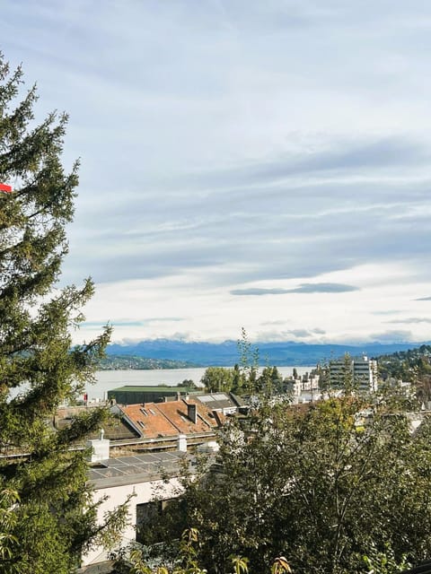 Large Flats, Zurich Lake HWA - Self Checkin Apartment in Zurich City