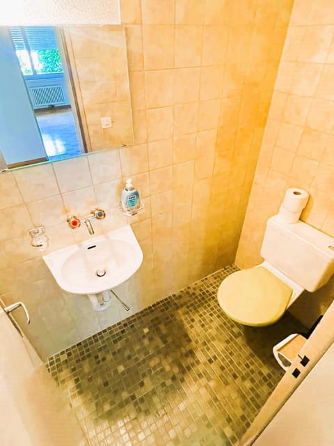 Large Flats, Zurich Lake HWA - Self Checkin Apartment in Zurich City