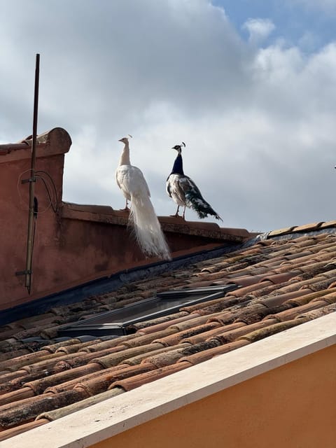 O Bastidon du Ventoux House in Flassan