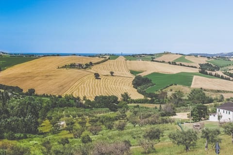 Locanda Belvedere Farm Stay in Marche