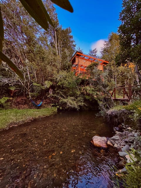 Natural landscape, River view