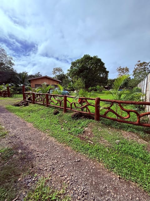 Garden, Garden view