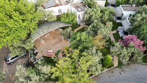 Bird's eye view, Garden, Garden view