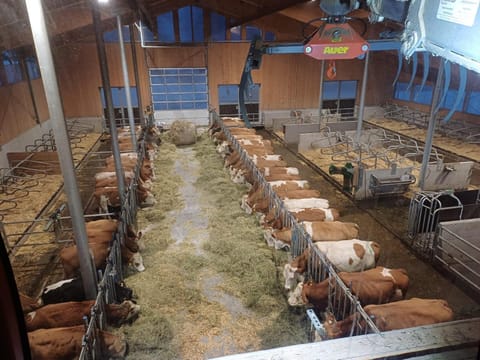 Frandlhof Farm Stay in Salzburgerland