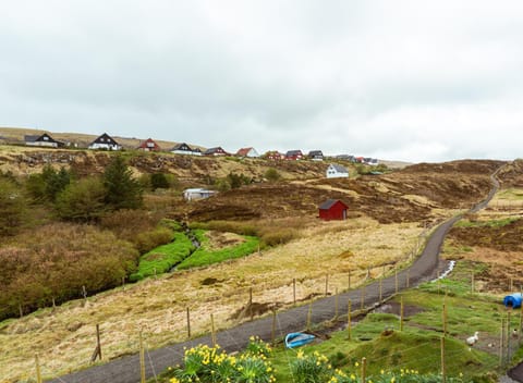 Day, Neighbourhood, Natural landscape
