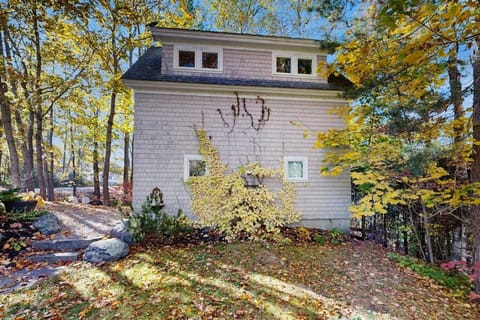 Property building, Day, Garden
