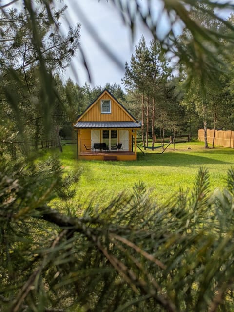 Property building, Garden view