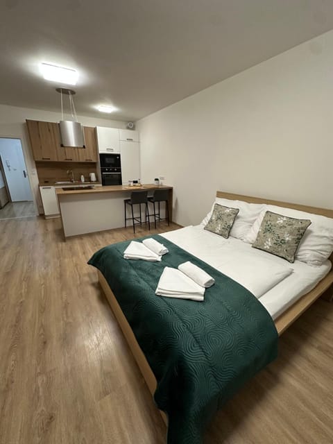 Bed, Kitchen or kitchenette, Living room, Photo of the whole room, Bedroom, oven, stove, towels