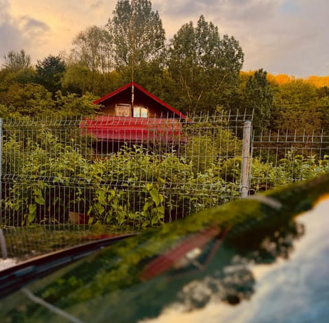 Spring, Day, Natural landscape, Garden, Garden view