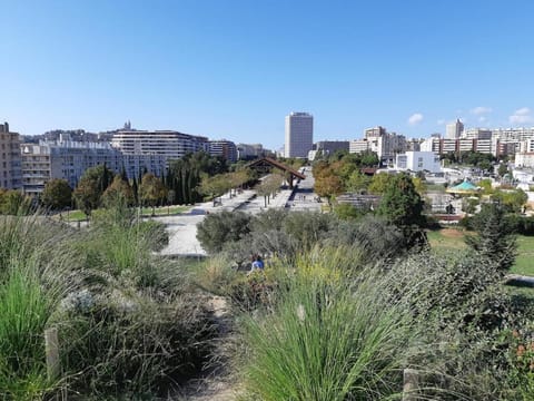 Property view