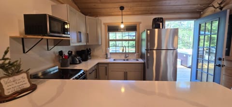 Recreational Therapy- Private 2 Bedroom with Hot Tub and Firepit House in Garrett County