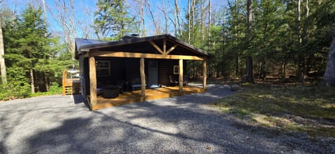 Recreational Therapy- Private 2 Bedroom with Hot Tub and Firepit House in Garrett County