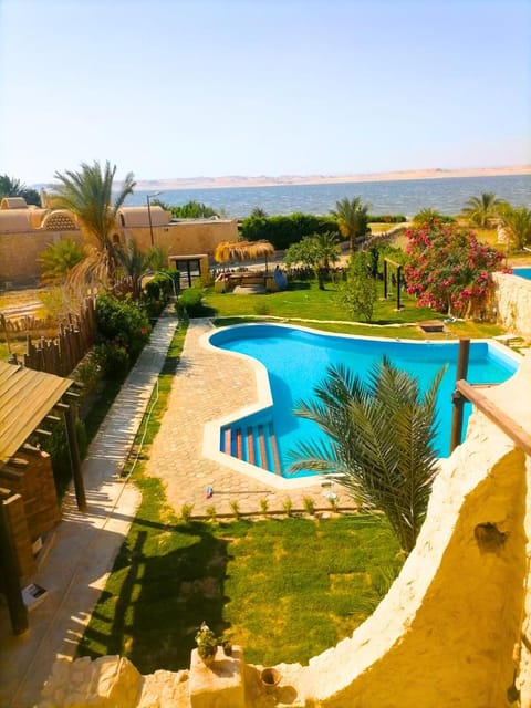 Pool view