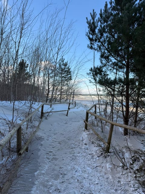 Natural landscape, Winter, Sea view