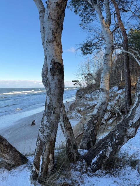 Natural landscape, Winter, Beach, Sea view