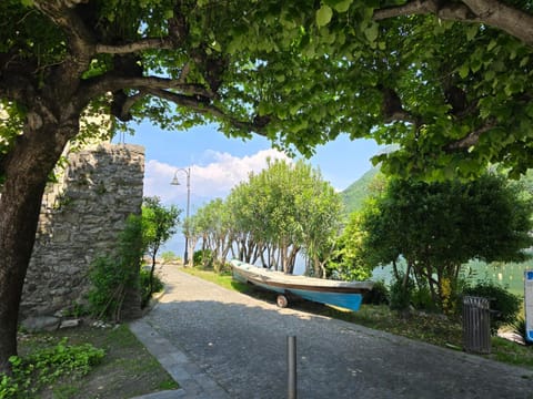 Day, Natural landscape