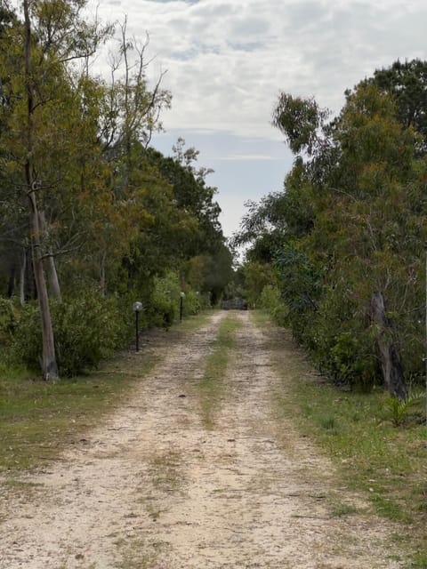 Appartamento a 4 minuti dal mare Apartment in Cala Liberotto