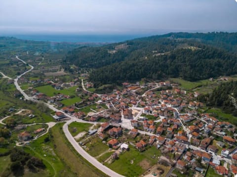 Patriko Stone House Apartment in Halkidiki