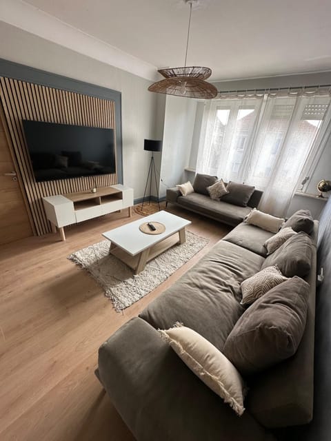 Bel appartement F4 6 a 7 personnes Apartment in Mulhouse