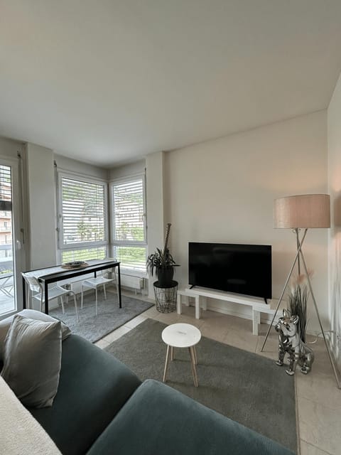 Free Parking - Near the Lake - Lugano apartment Apartment in Lugano
