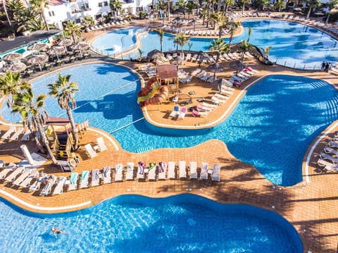 Garden, Swimming pool, Swimming pool