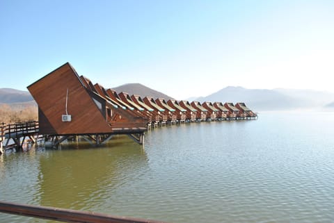 Day, Natural landscape, River view