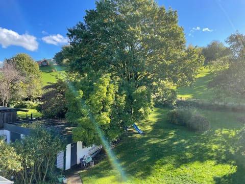 Natural landscape, Garden, Garden view