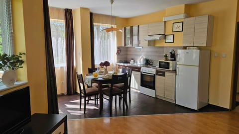 Kitchen or kitchenette, Dining area, oven, stove