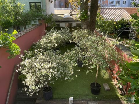 Le Flagey green place Apartment in Ixelles