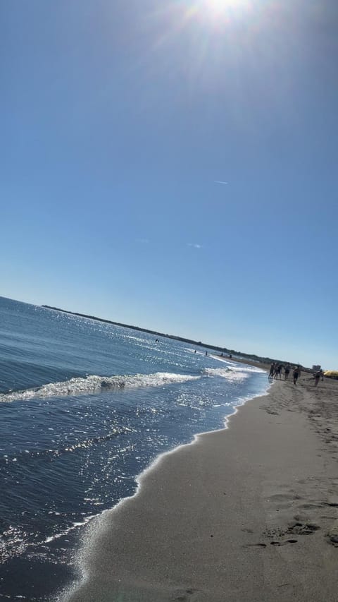 Hotel Armela Apartment hotel in Montenegro