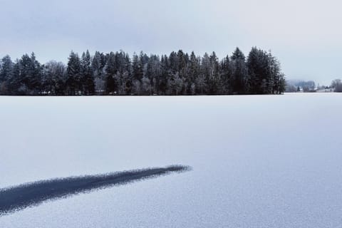 Natural landscape, Winter