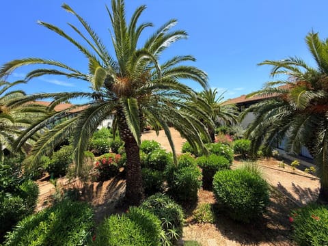 Day, Garden view