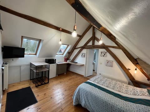 TV and multimedia, Kitchen or kitchenette, Photo of the whole room