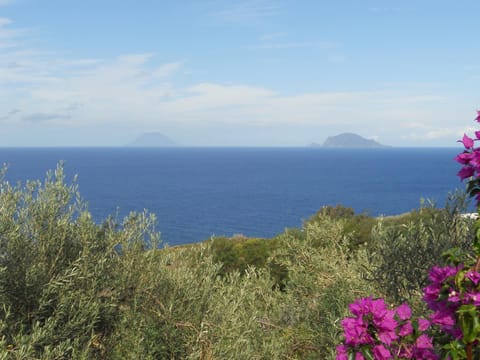 Natural landscape, Sea view