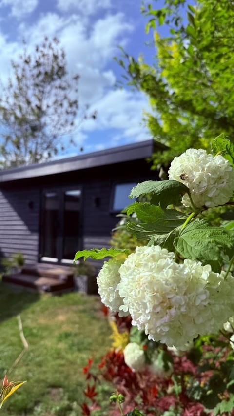 Property building, Spring, Garden, Garden view