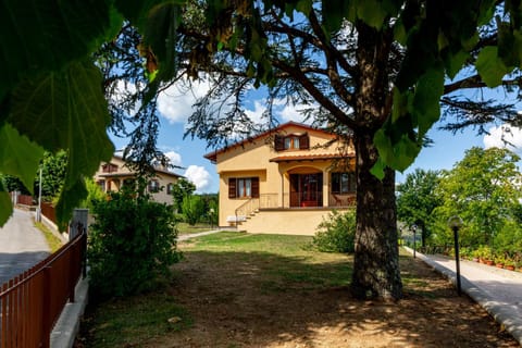 Property building, Garden, Garden view