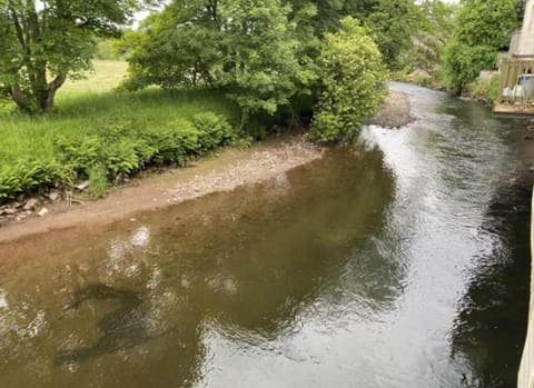 Garden view, River view