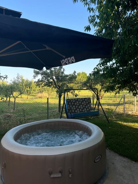 Natural landscape, Garden, Garden view, Pool view, Swimming pool