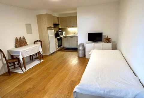 Bed, TV and multimedia, Dining area, stove