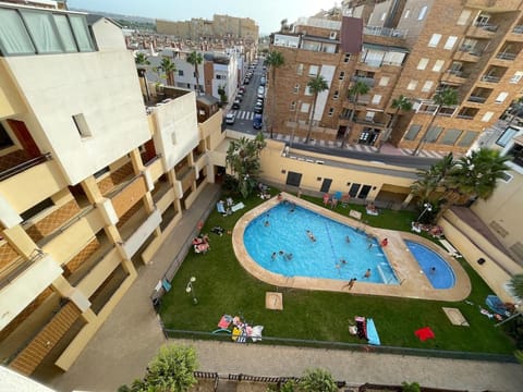Garden, Pool view, Swimming pool