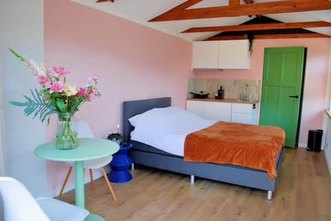 Tiny Torenhuis 1 Apartment in Westkapelle