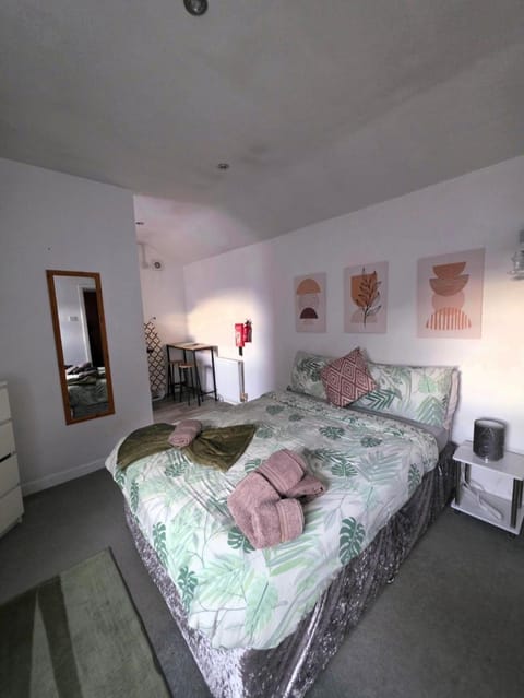 Sleepy Snug Apartment in Swansea